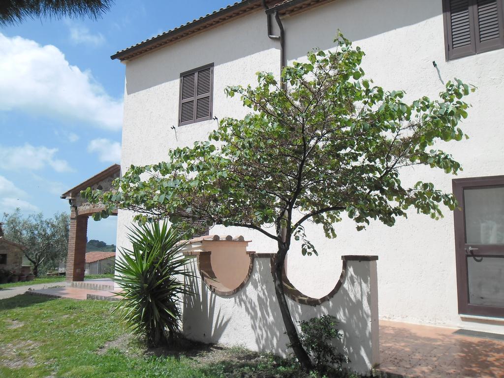 Poggio Petrella Villa Manciano Bagian luar foto